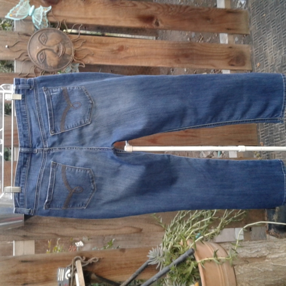 Woman jeans Raiders by Lee mid-rise straight leg it says 12p